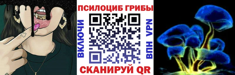 Псилоцибиновые грибы Psilocybe  Красноуфимск 